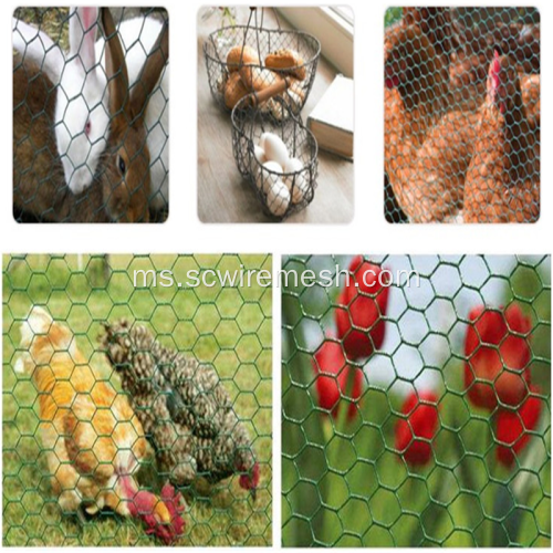 Ayam dan Arnab SS Hexagonal Wire Mesh